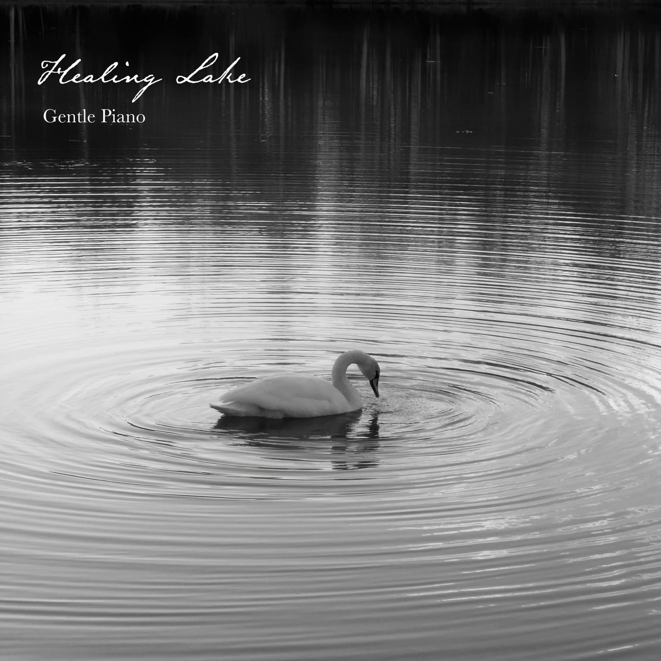 Healing Lake -Gentle Piano-